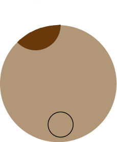 shape2